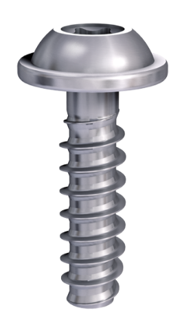 Direktverschraubung 5 x 16 Linsenkopf m. Scheibe Torx T25