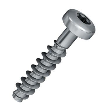 [K_00626[1.0]] Direktverschraubung 5 x 30 Linsenkopf Torx T25 - A2