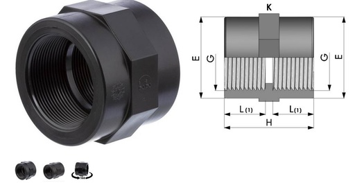 [K_00354[1.0]] Muffe 3/4" 2fach Innengewinde PP