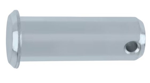 [N_00238[0.0]] Bolzen mit Kopf ISO 2341 - B - 20 x 55 - A2